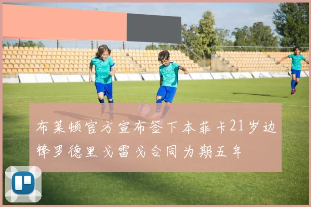 布莱顿官方宣布签下本菲卡21岁边锋罗德里戈雷戈合同为期五年